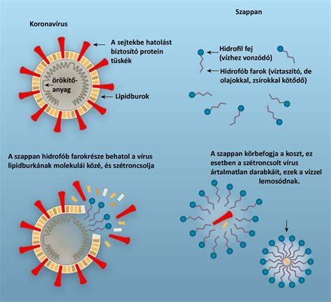 Infografika: hogyan működik a hajtőfedő spray és miként alkalmazzuk 15 cm-es távolságból