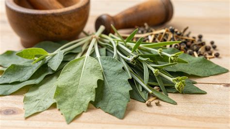 Ayurvédikus gyógynövények