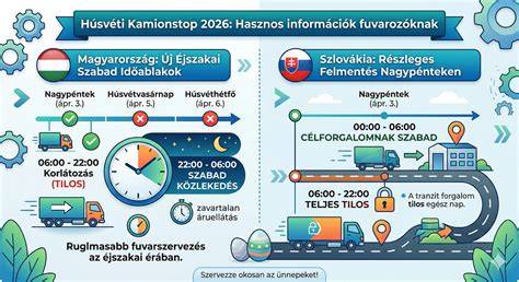 Infografika az egér éjszakai tevékenységéről és rágásáról