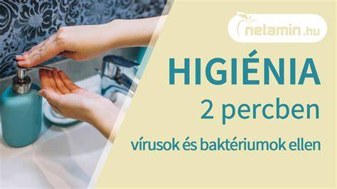 Infografika: nemi higiénia és szőrzet szerepe a felszaporodó baktériumok ellen