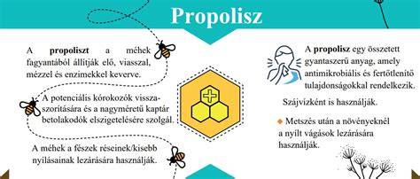 Infografika: hajregeneráló termékek és hatásaik