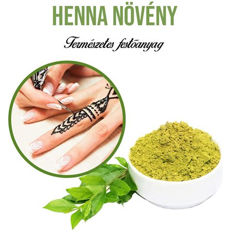 Henna növény és levelei