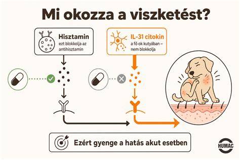 kutya hajvágó-összetevők diagram